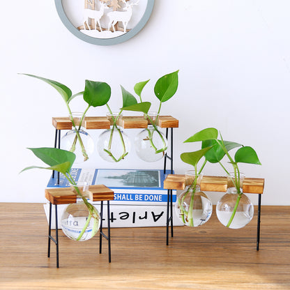 Wooden Art Iron Frame Transparent Glass Hydroponic Vase